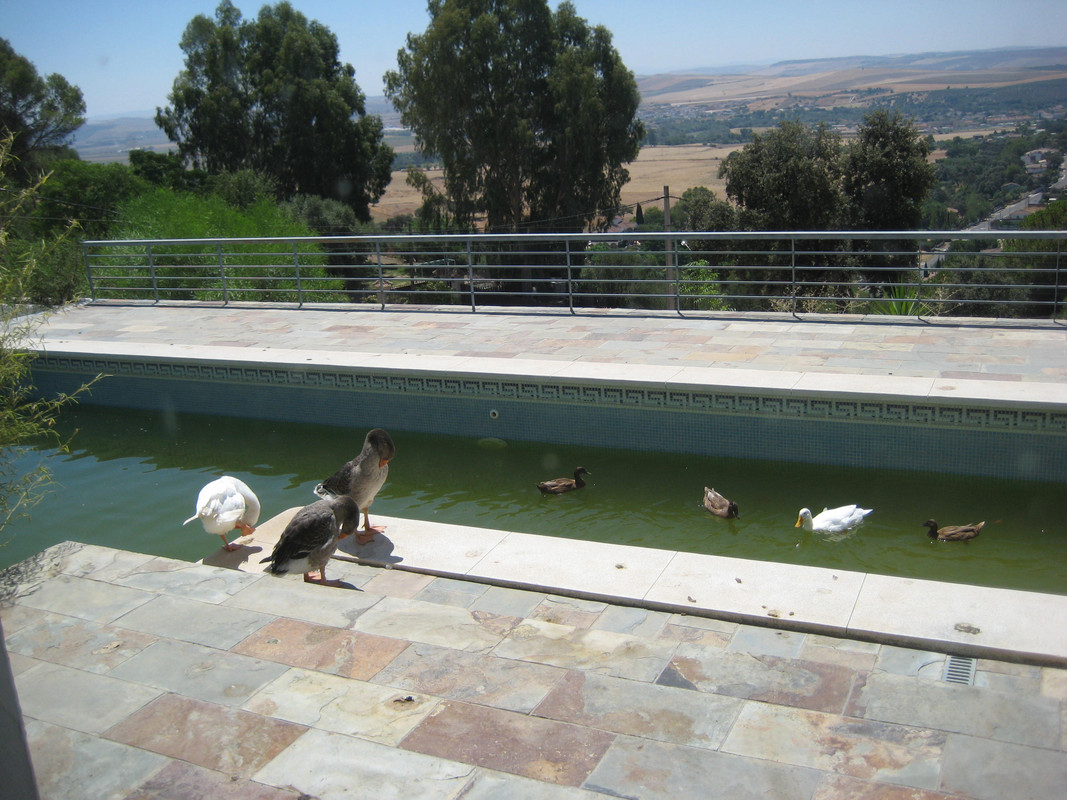 IMG-6474.jpg