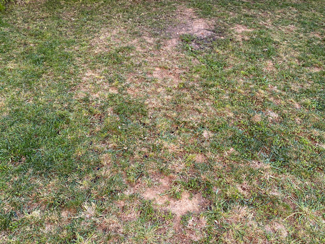 IMG-6548.jpg