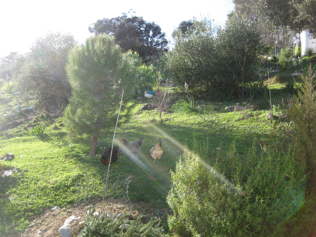 IMG-6587.jpg