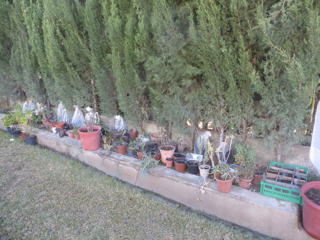 IMG-6629.jpg