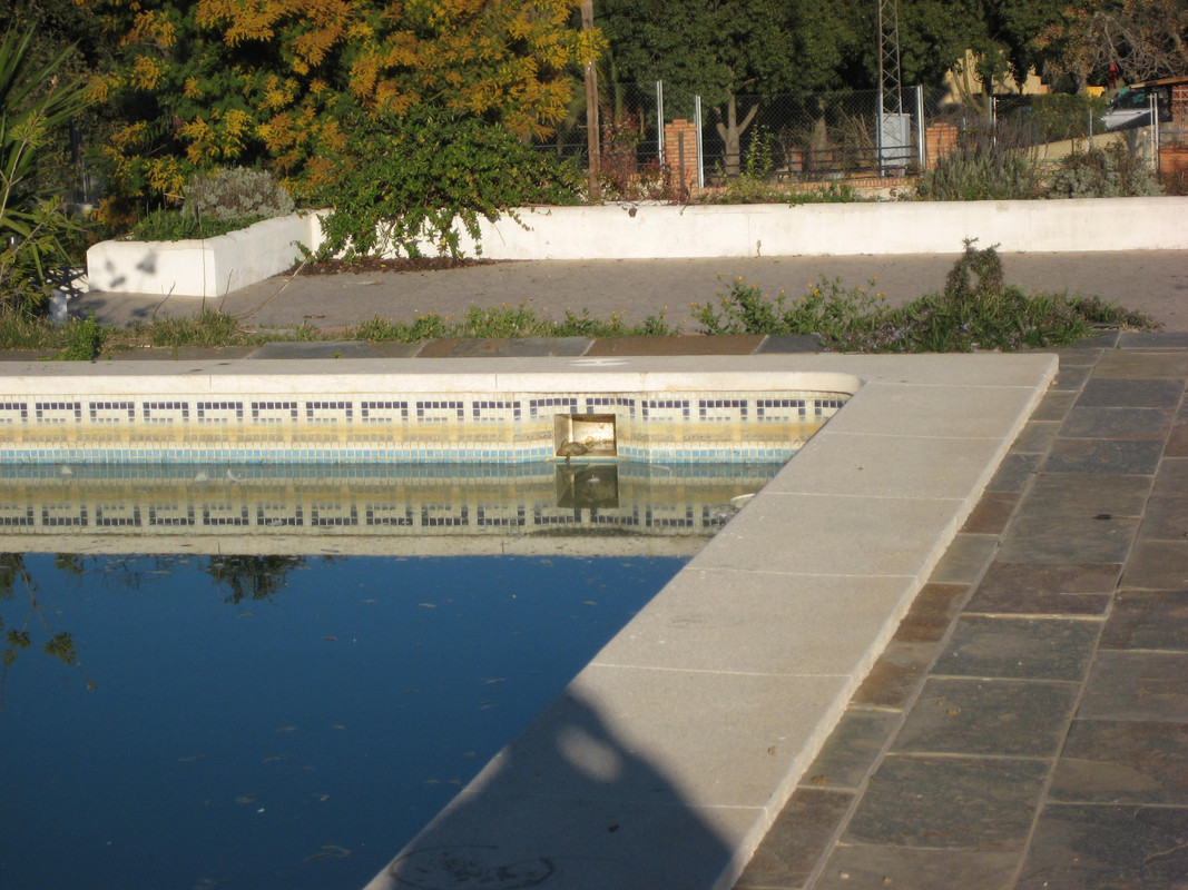 IMG-6635.jpg