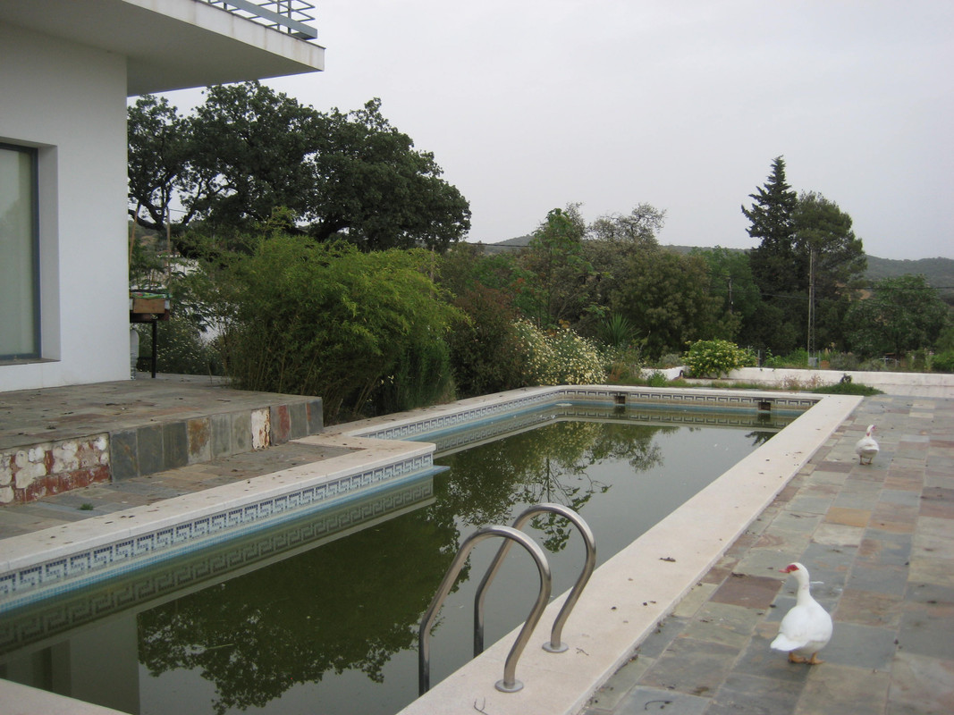 IMG-6839.jpg