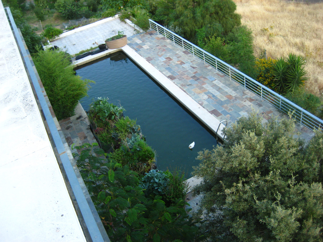 IMG-7377.jpg