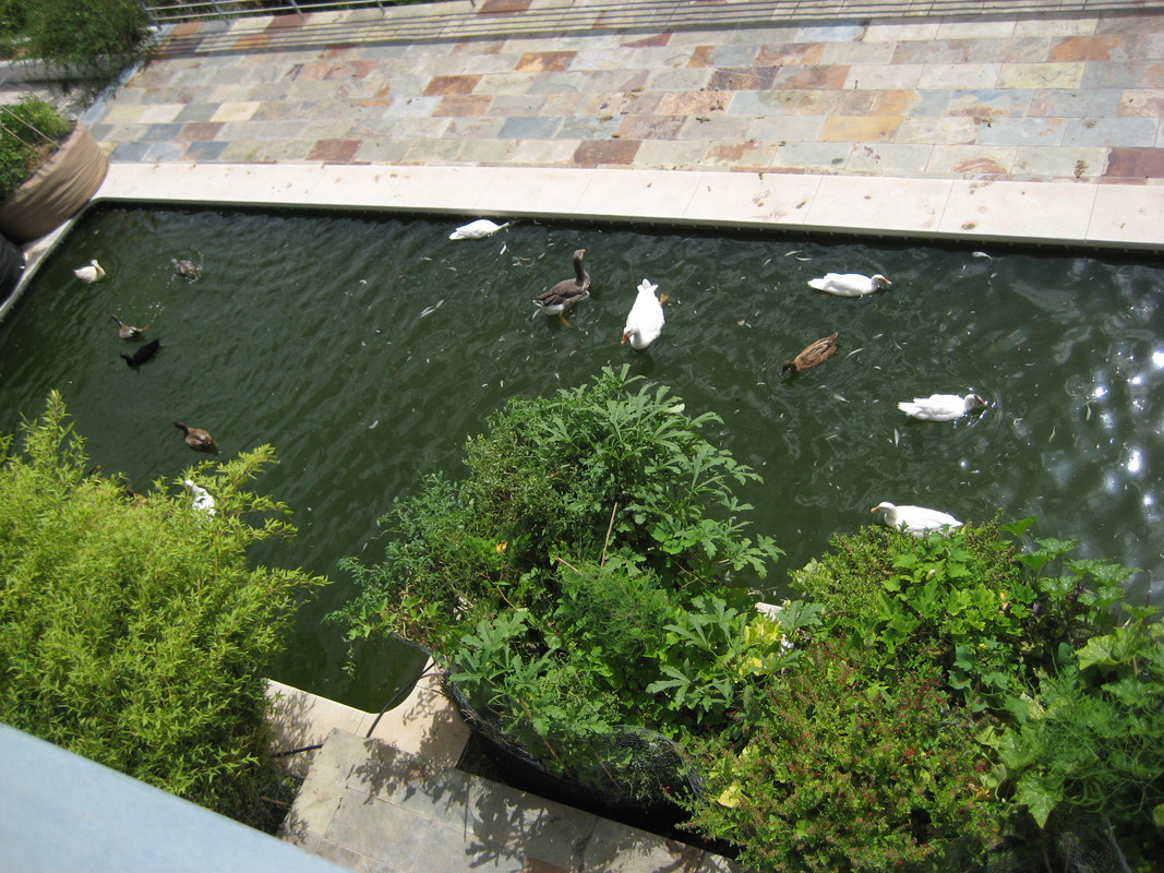 IMG-7555.jpg