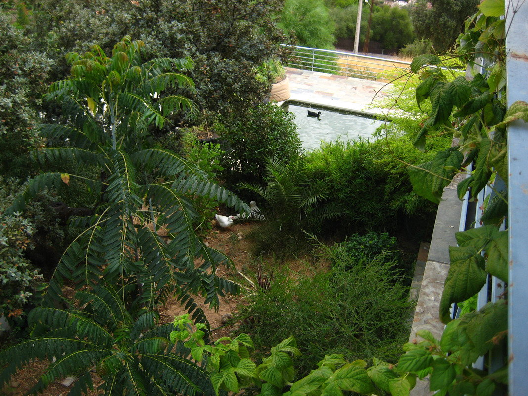 IMG-7571.jpg