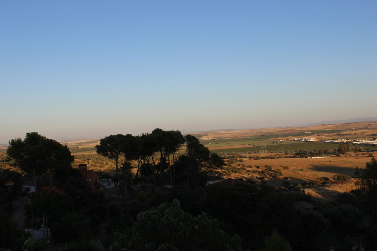 IMG-8138.jpg