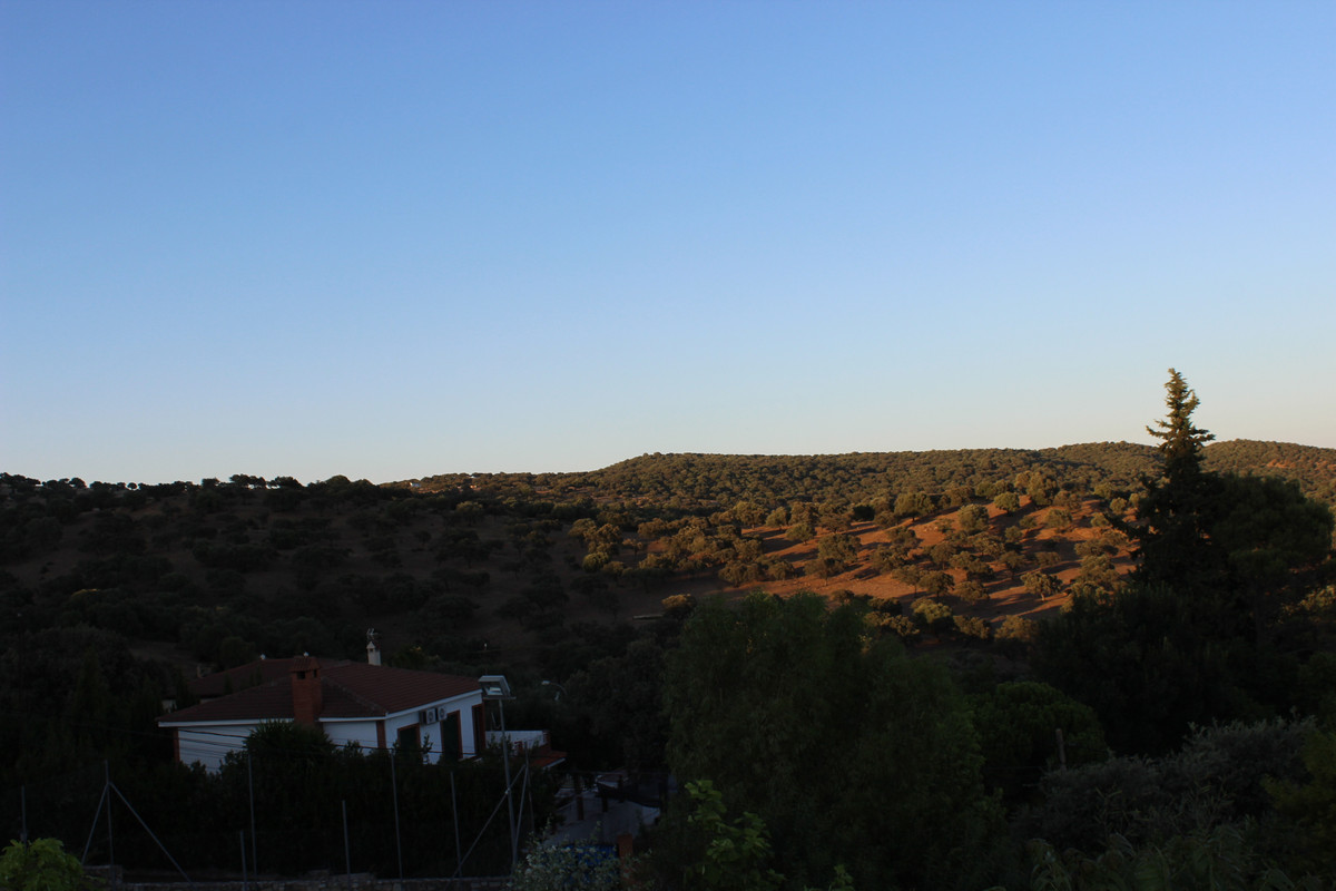 IMG-8140.jpg