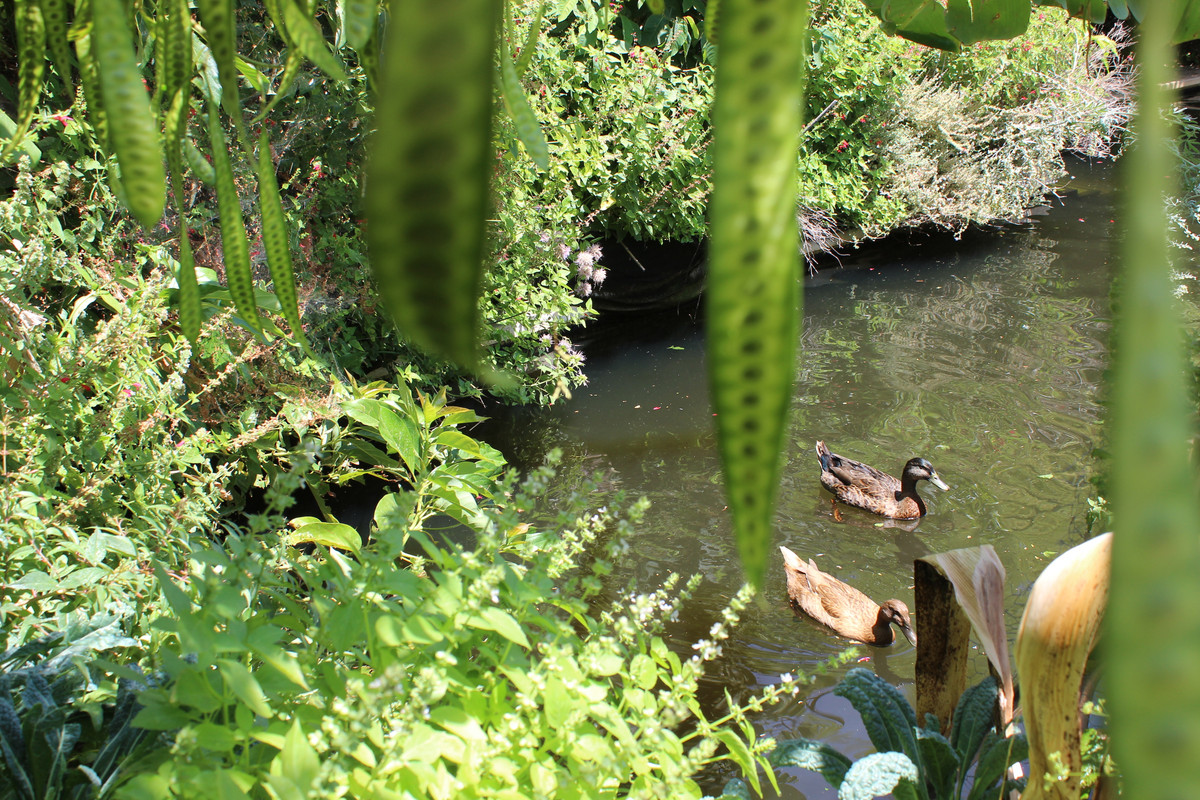 IMG-8190.jpg