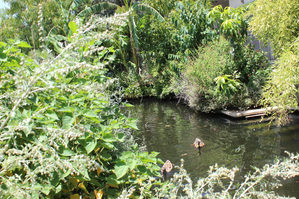 IMG-8196.jpg