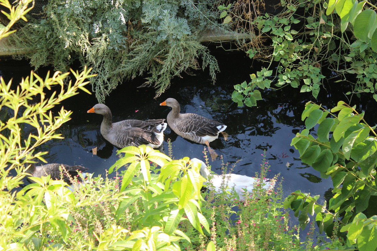 IMG-8347.jpg