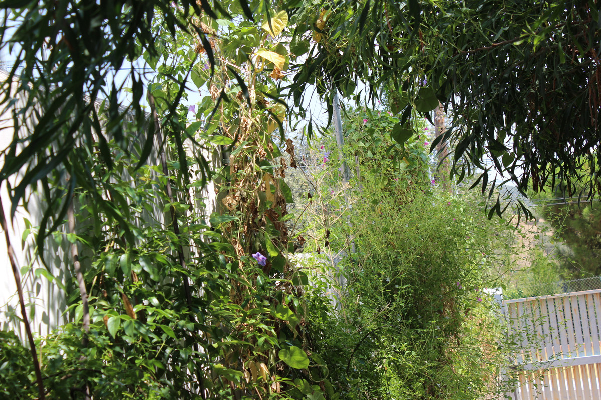 IMG-8360.jpg
