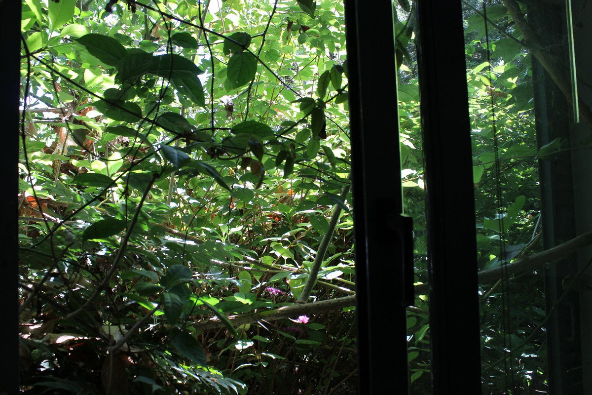 IMG-8448.jpg