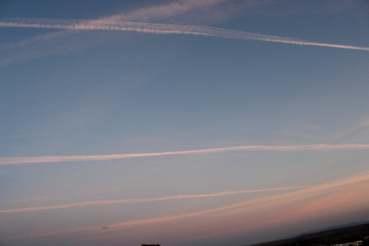 IMG-8656.jpg