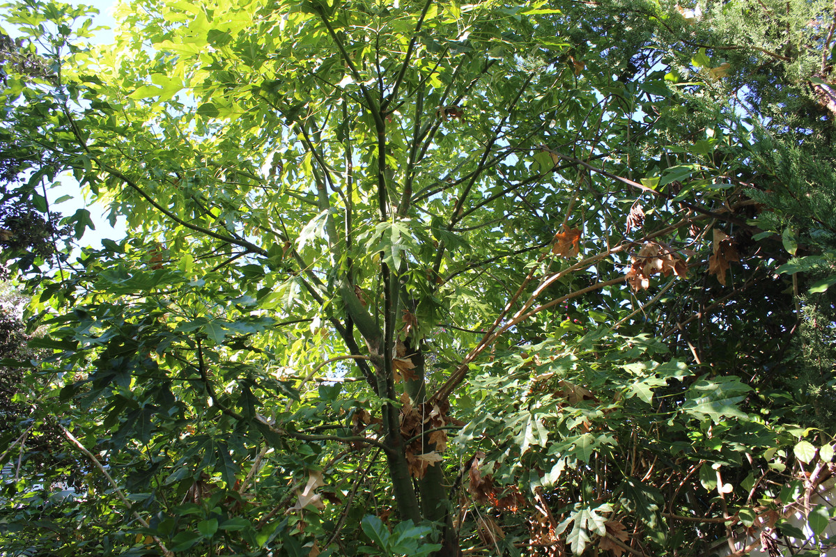 IMG-9045.jpg