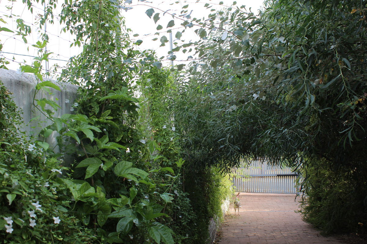 IMG-9084.jpg