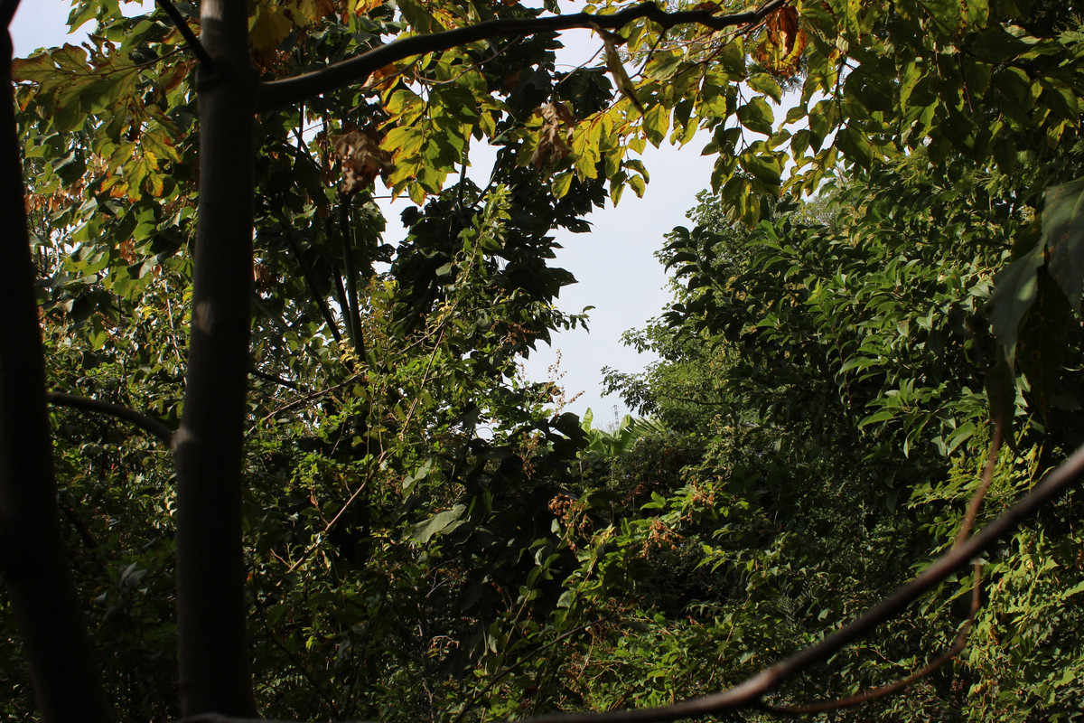 IMG-9183.jpg