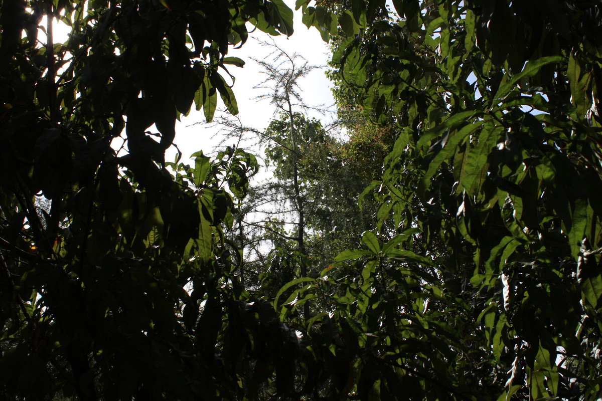 IMG-9186.jpg