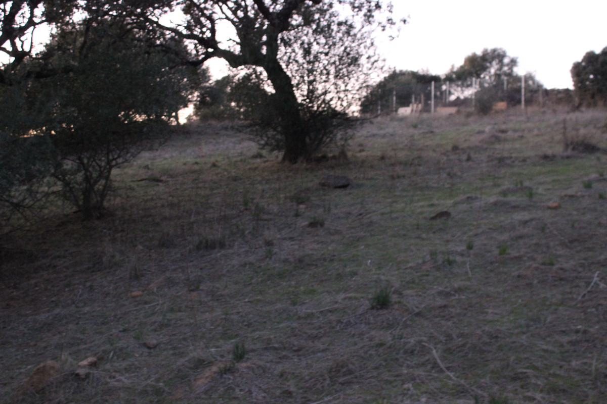 IMG-9566.jpg