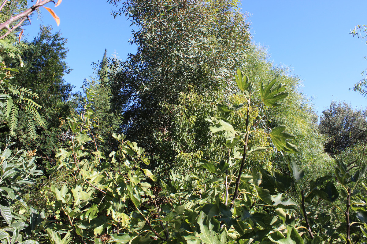 IMG-9710.jpg