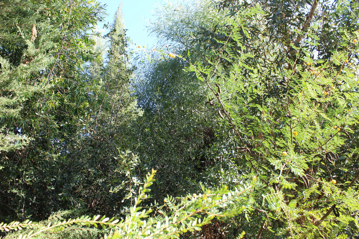 IMG-9716.jpg