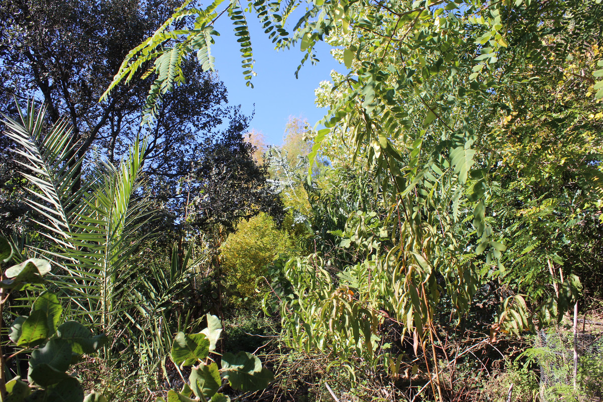 IMG-9761.jpg