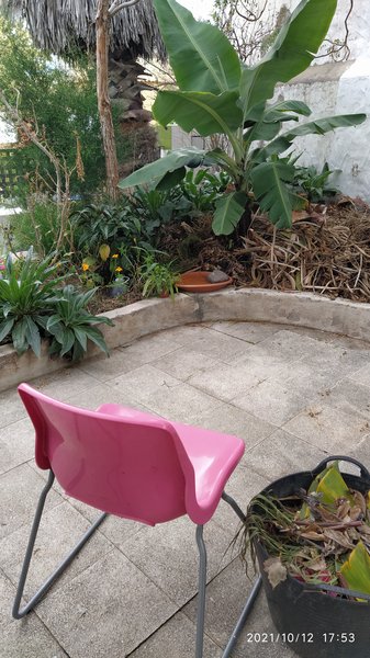 IMG-en-el-borde-del-camino-hay-una-silla.jpg