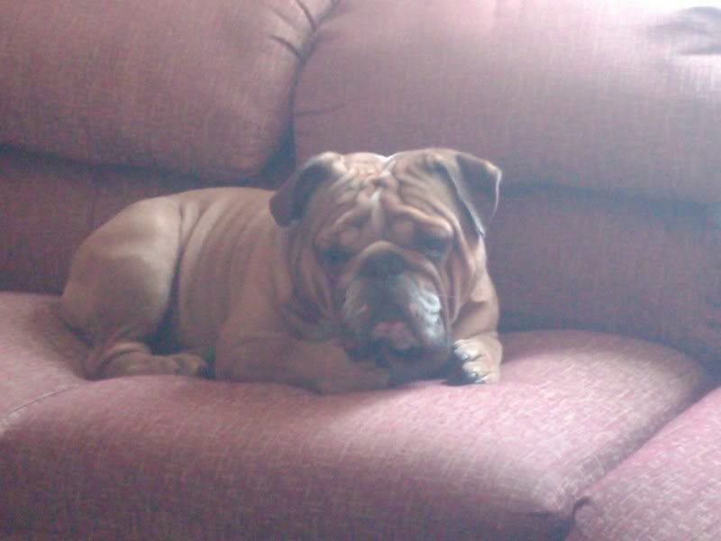 IMG00007-20110323-1136.jpg