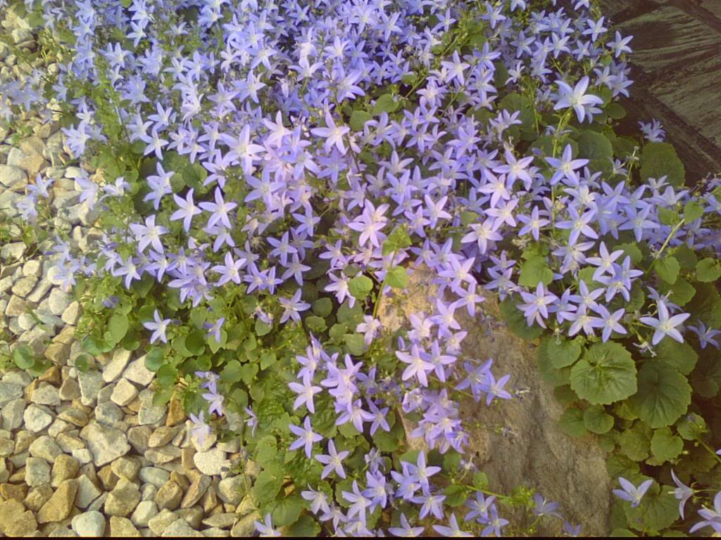 Img00014.jpg