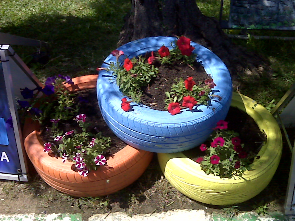 IMG00027.jpg