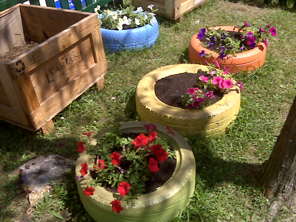 IMG00029.jpg