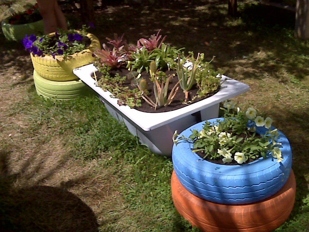IMG00030.jpg