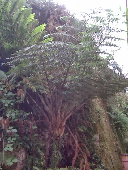 IMG00034.jpg