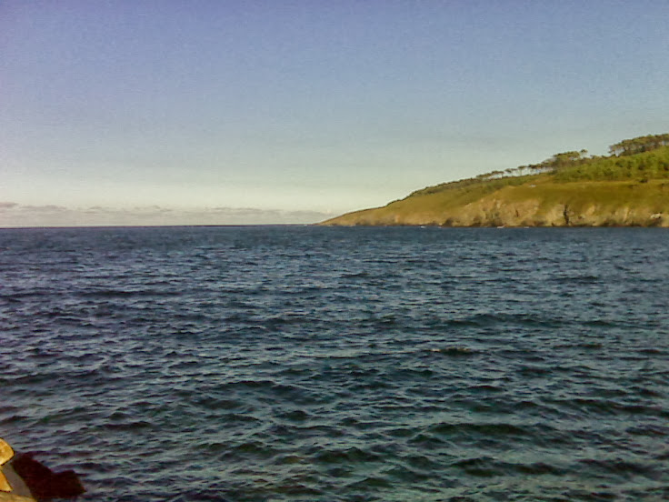 IMG00040.jpg