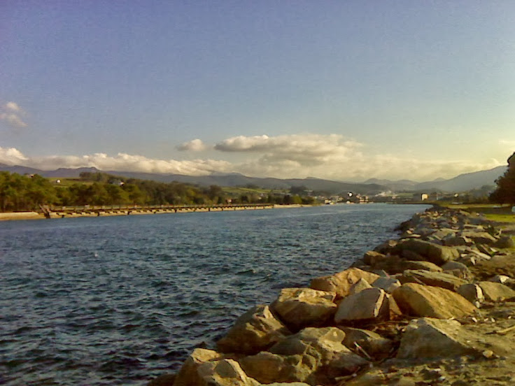 IMG00041.jpg