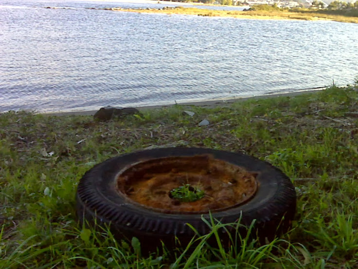 IMG00043.jpg