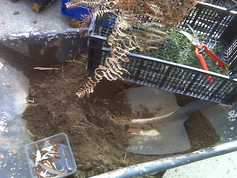IMG00055.jpg
