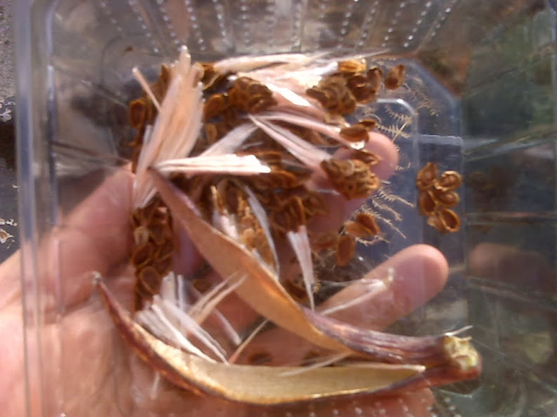 IMG00056.jpg