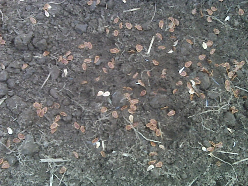 IMG00057.jpg