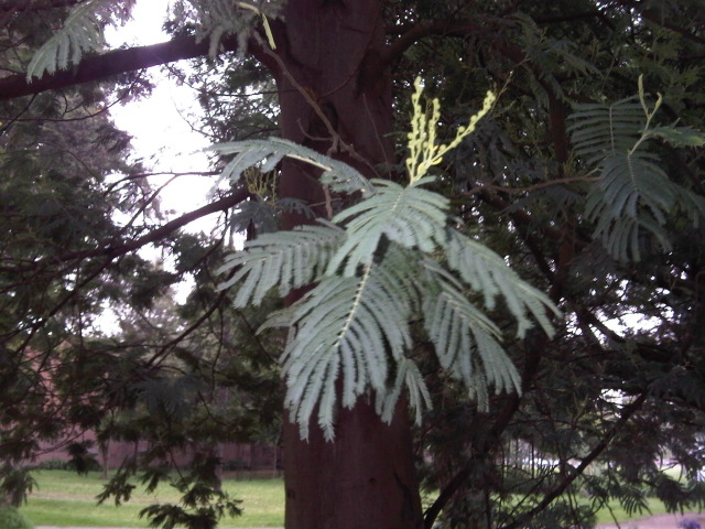 IMG00063-20120809-1644.jpg