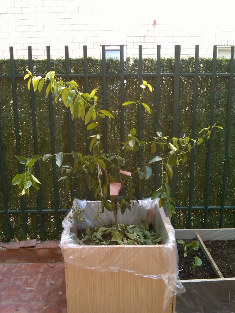 IMG00134-20100511-1703.jpg