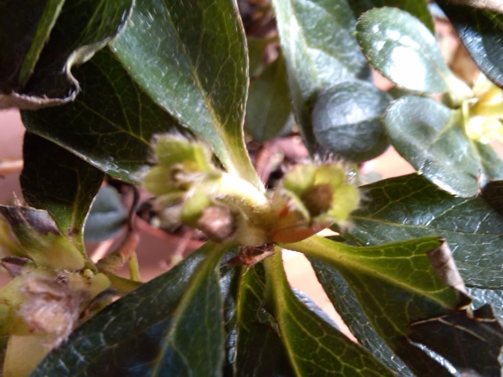 IMG00148-20100514-1627.jpg