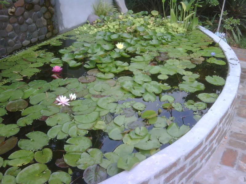 IMG00151-20091227-1008.jpg