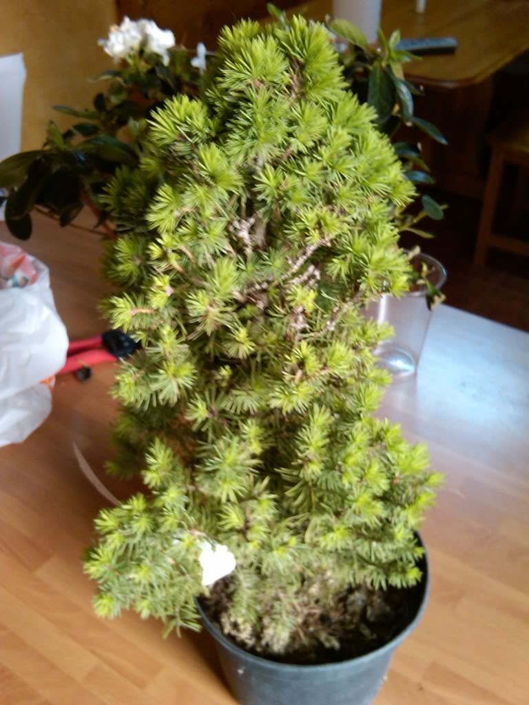 IMG00151-20100514-1628.jpg