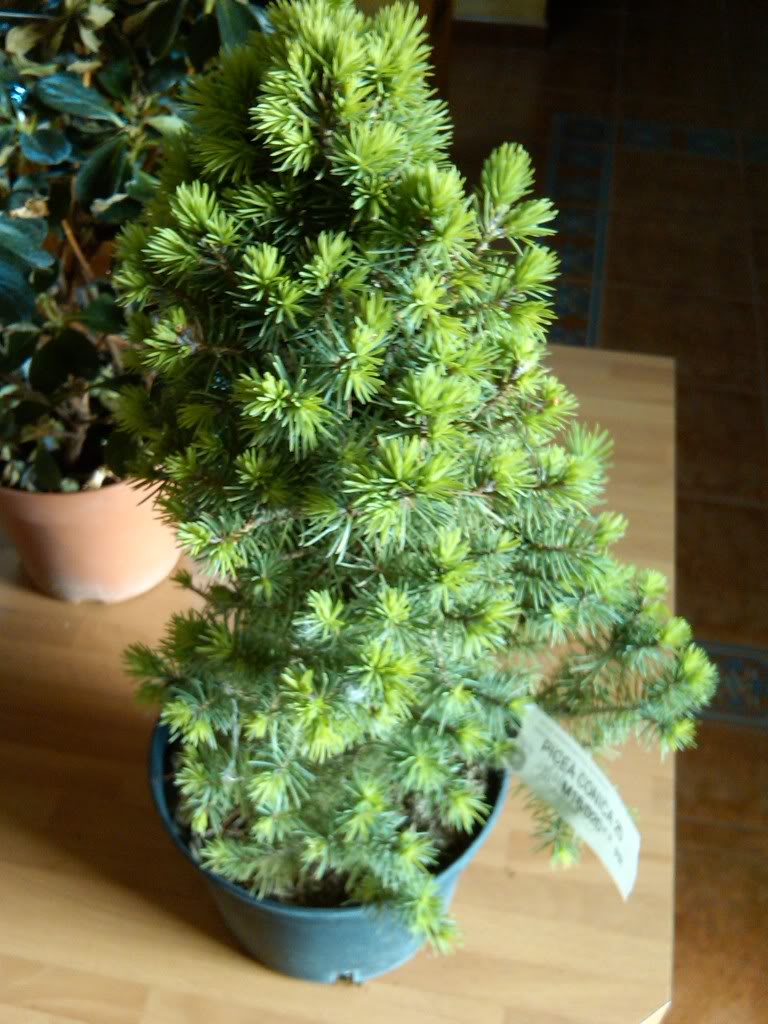 IMG00152-20100514-1628.jpg