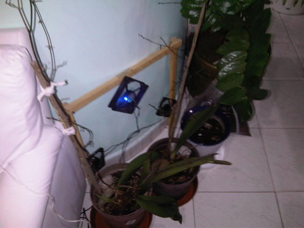 IMG00174-20140618-0026_zps66817210.jpg