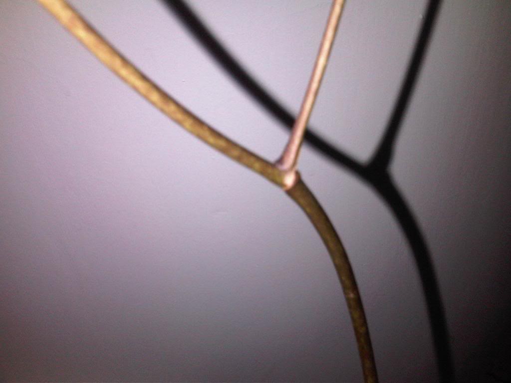 IMG00181-20140618-0033_zps5259e796.jpg