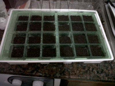 IMG00186-20110110-0057.jpg