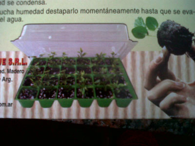 IMG00187-20110110-0814.jpg
