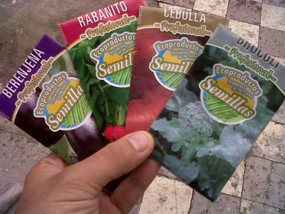 IMG00192-20110111-0831.jpg