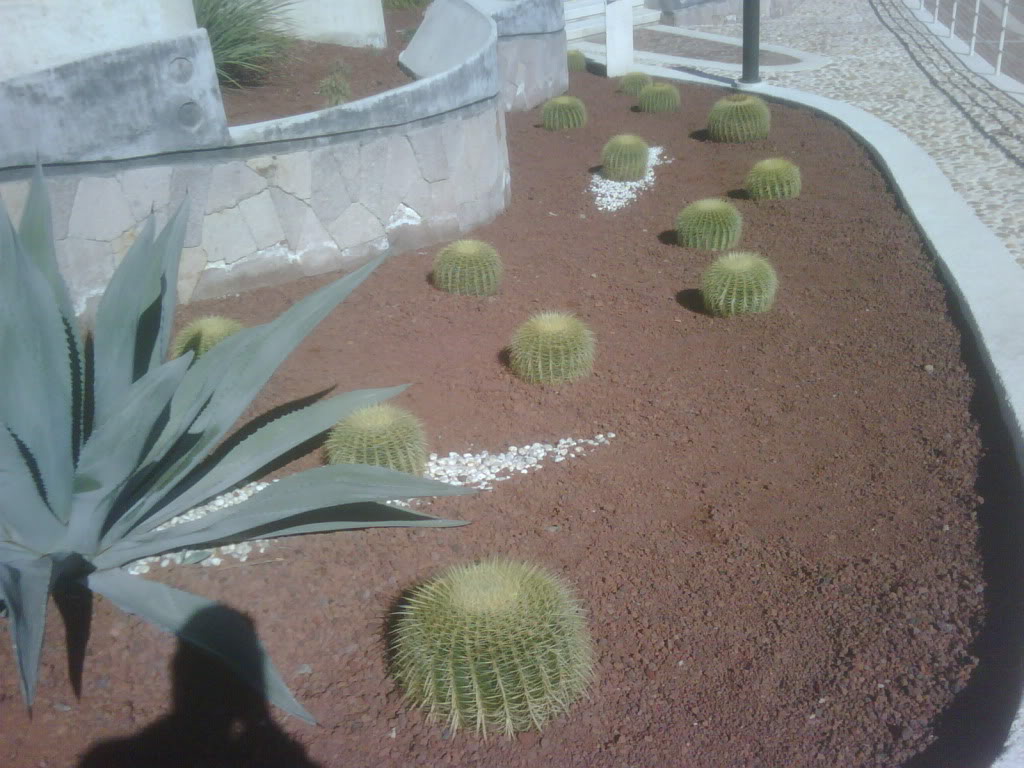 IMG00224-20120220-1018.jpg